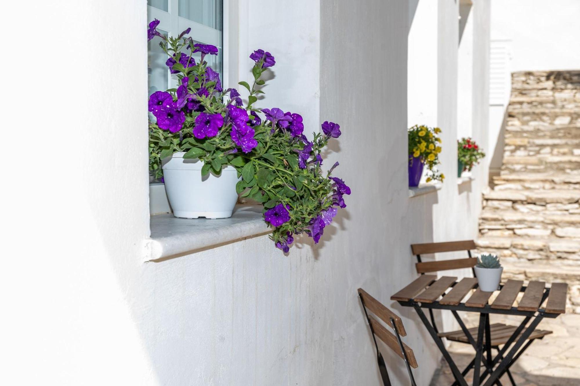 Mary & Jo's Apartment Naxos City