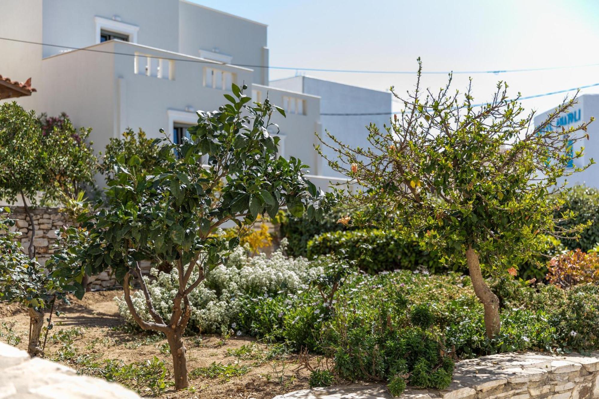 Mary & Jo's * Naxos City
